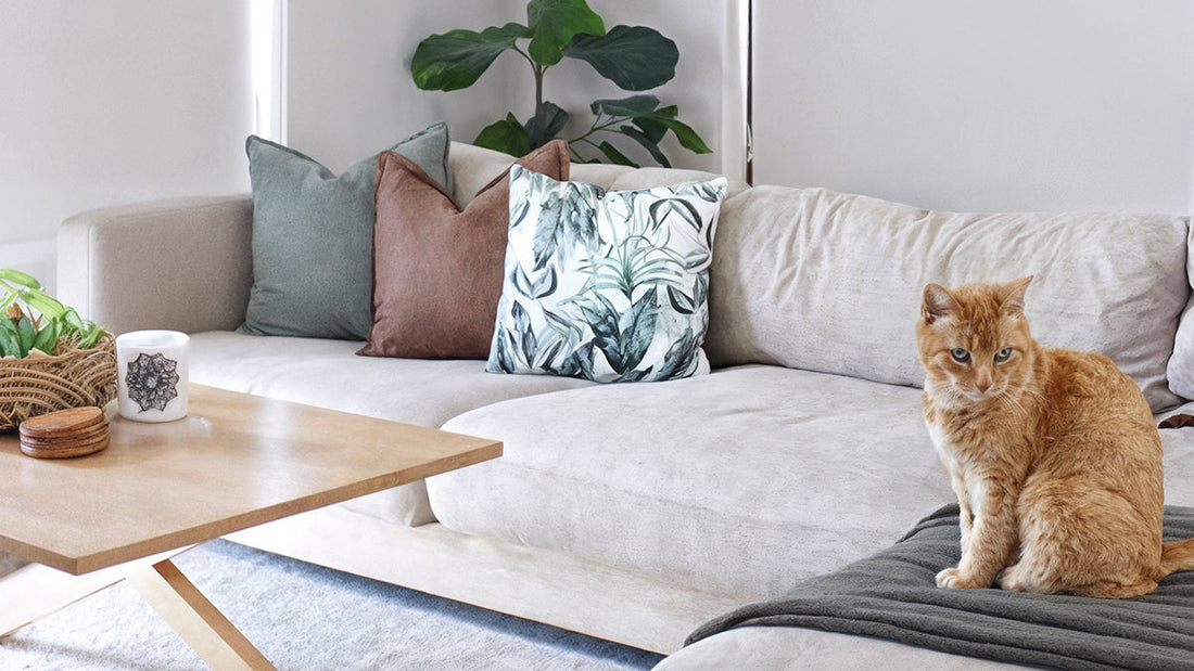 Stylized living room featuring a cozy neutral sofa with colorful pillows and a wooden coffee table, setting the scene for a collaboration on special edition chairs with The DIY Decorator.