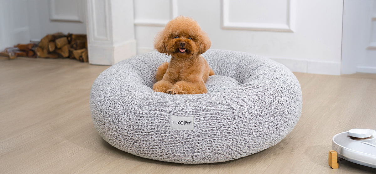 A small curly-haired toy poodle lounges on a LUXO | Pet donut-style bed, set on a light wood floor near a pet feeder and firewood stack.