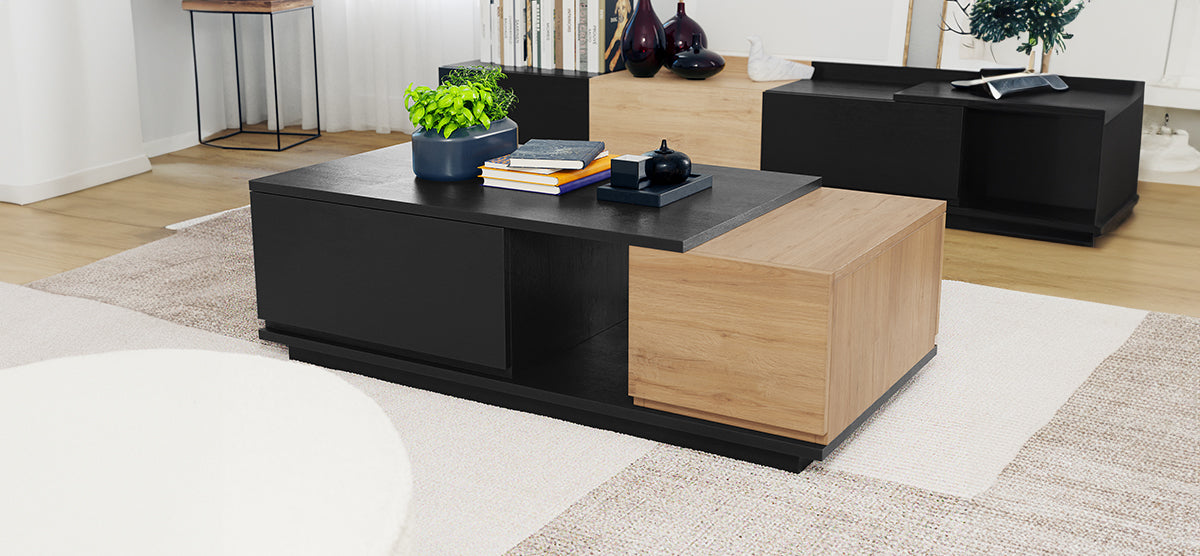 A minimalist, two-tone coffee table with matte black and light oak finishes, featuring a houseplant, books, and decor, over a pale textured rug in a modern living room.