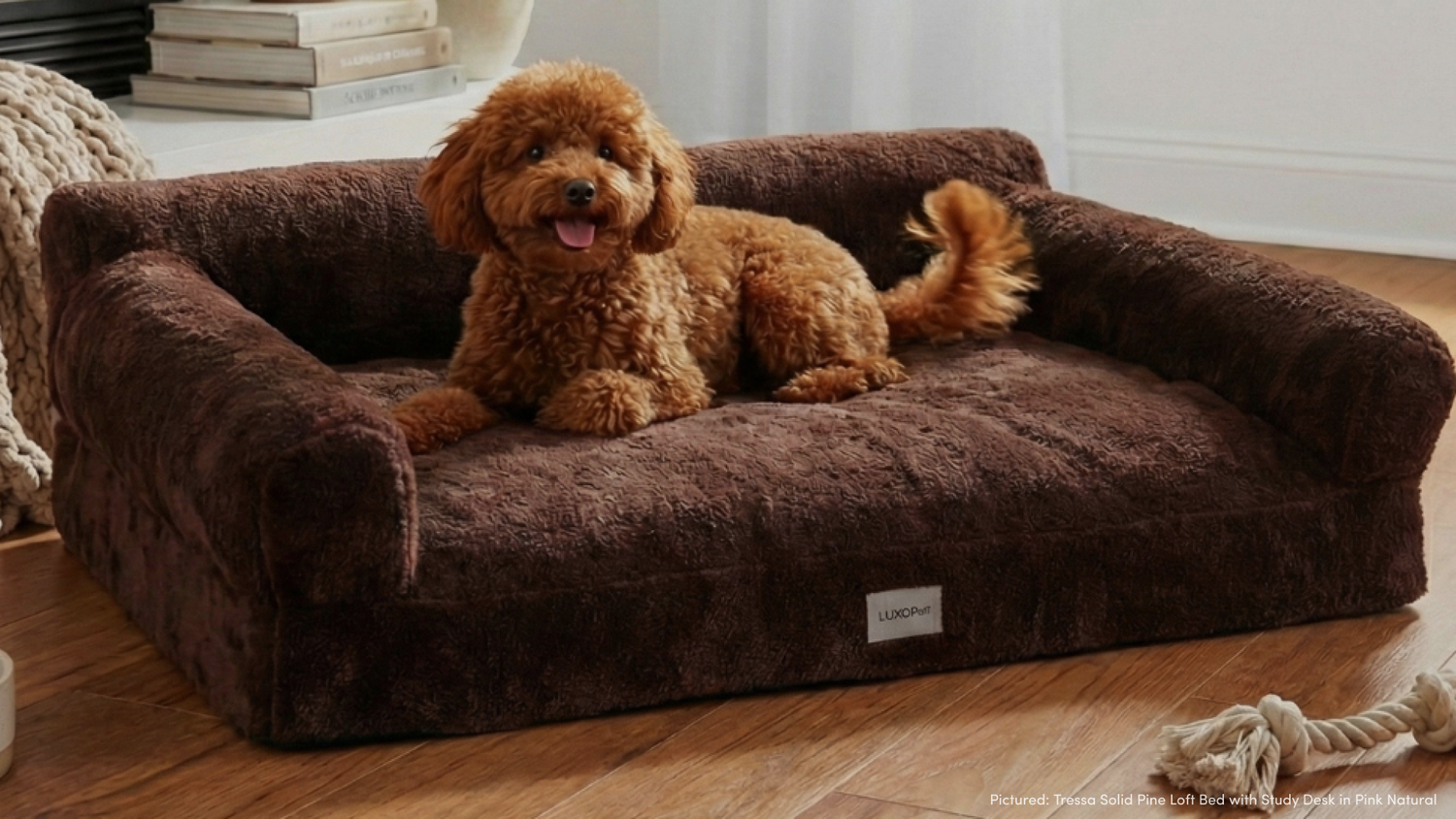New Barnaby & Fergus pet beds