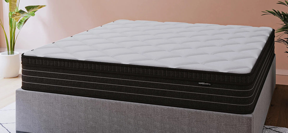 A plush, supportive mattress with a white quilted top and black sides on a gray upholstered bed frame, complemented by a potted houseplant, creating a modern bedroom aesthetic.