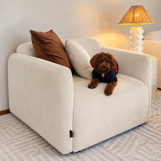 Vestalia Single Seater Velvet Sofa in Cream White