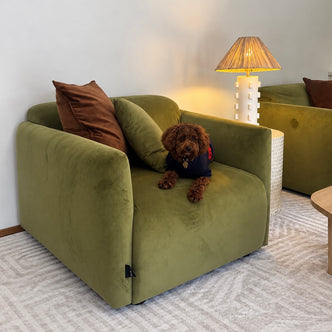 Vestalia Single Seater Velvet Sofa in Olive Green