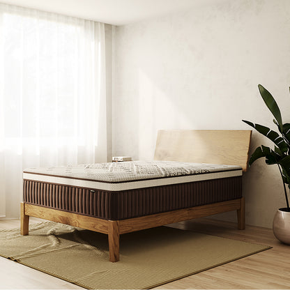 Thalia Queen 30cm Memory Foam Pocket Spring Mattress in Med, shown on a minimalist wooden bed frame in a sunlit room, features a two-tone design with a dark sidewall and patterned top.