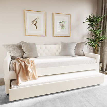 Ovidia Single Velvet Daybed Sofa with Trundle in Cream White features plush tufted upholstery, neutral-tone pillows, and a blush throw. Gold-framed bird prints and a potted plant enhance the cozy setting.