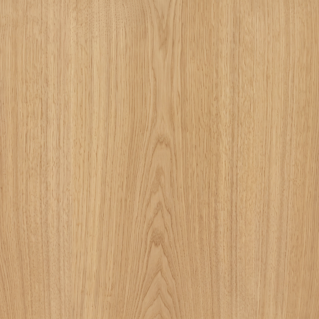 Close-up of light oak wood grain texture