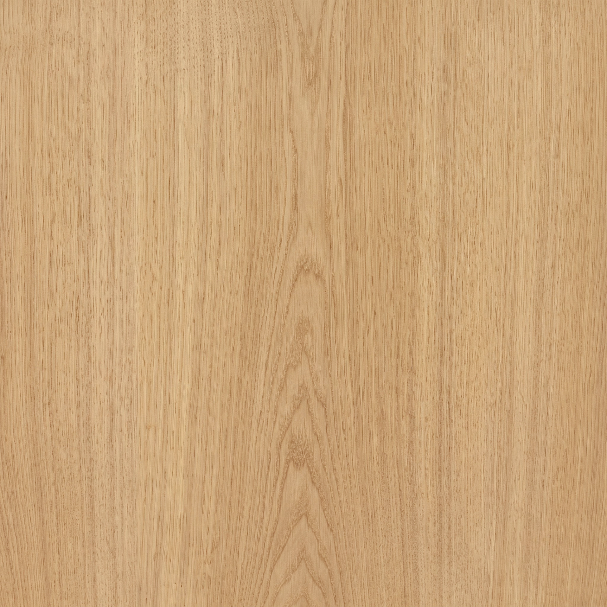 Close-up of light oak wood grain texture