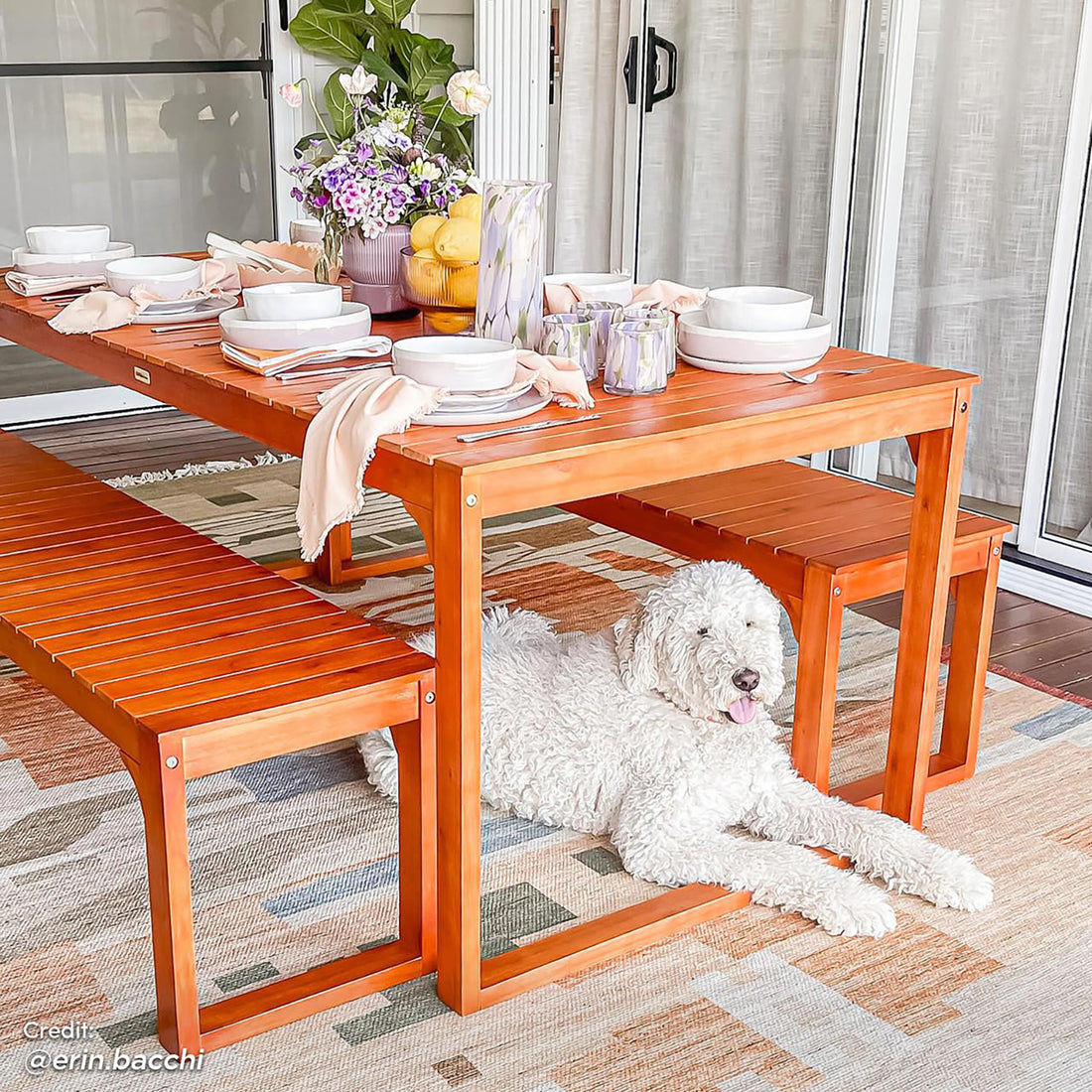 Trinity 8 Seater Outdoor Timber Bench Dining Set features a sturdy eucalyptus wood table with two benches, ideal for outdoor dining. A dog lies under the table, emphasizing its spacious design.