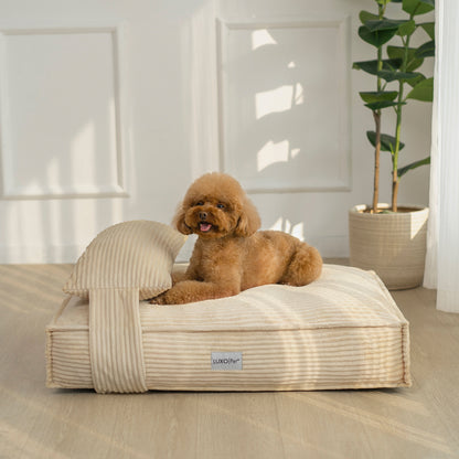 Dax Medium Corduroy Dog Bed – Soft & Stylish Beige, featuring plush cushioning, bolstered sides for support, and a non-slip base. A dog rests comfortably on this modern, neutral-toned bed.