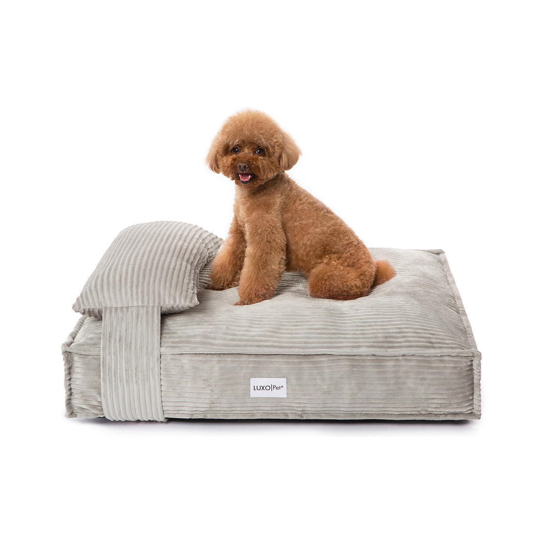 Dax Medium Corduroy Dog Bed – Grey Soft Support features a dog resting on a plush, bolstered grey bed with a visible white label, highlighting its comfortable and stylish design.