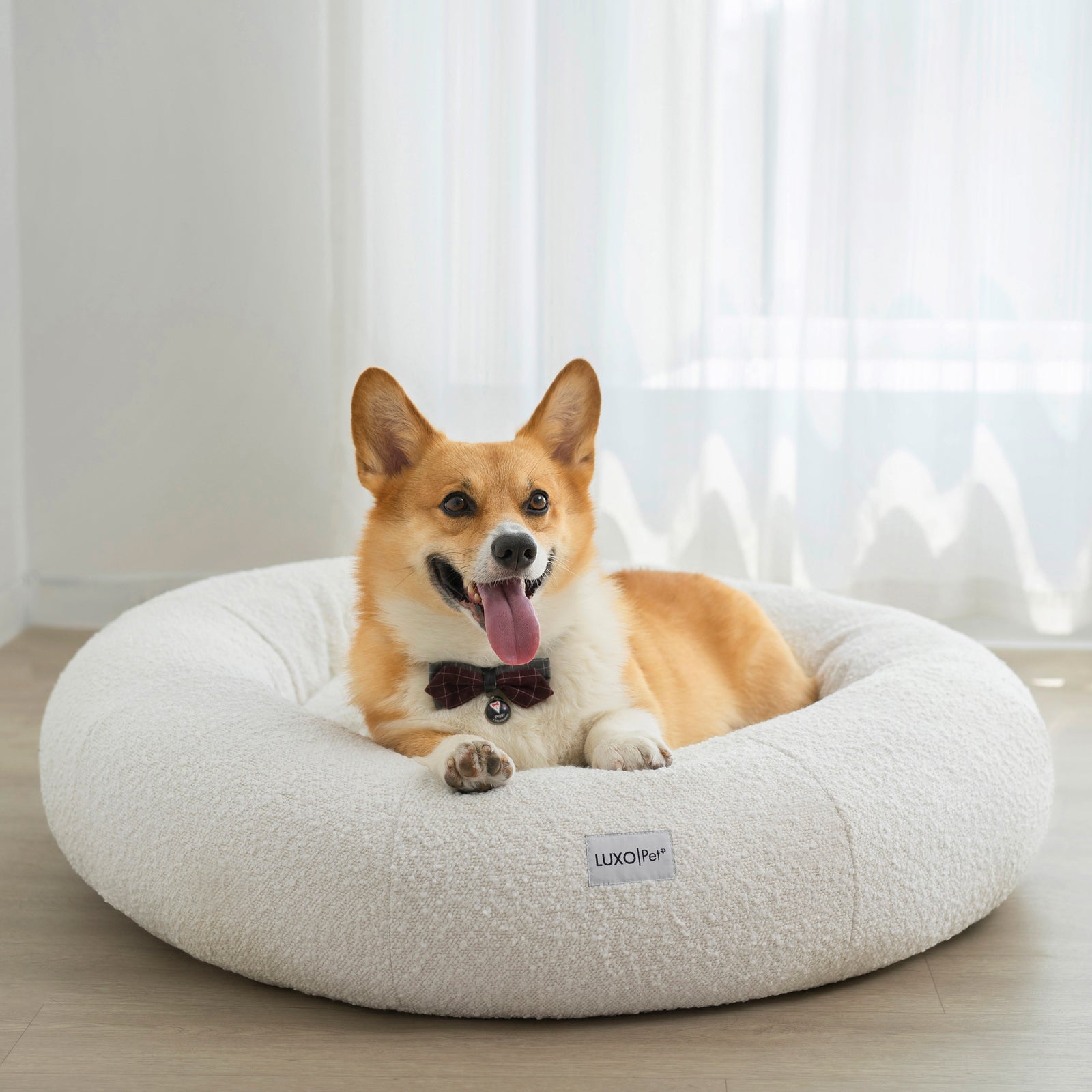 Kyra Large Boucle Pet Bed – Light Beige Plush Comfort features a corgi lounging on a plush, boucle fabric bed with raised bolsters, offering ergonomic neck support, perfect for larger breeds.