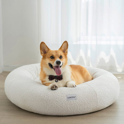 Kyra Large Boucle Pet Bed – Light Beige Plush Comfort features a corgi lounging on a plush, boucle fabric bed with raised bolsters, offering ergonomic neck support, perfect for larger breeds.