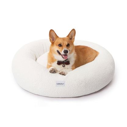 Kyra Large Boucle Pet Bed – Light Beige Plush Comfort with a Welsh Corgi lying on it, showcasing raised bolsters for head support and a soft, textured boucle fabric surface.