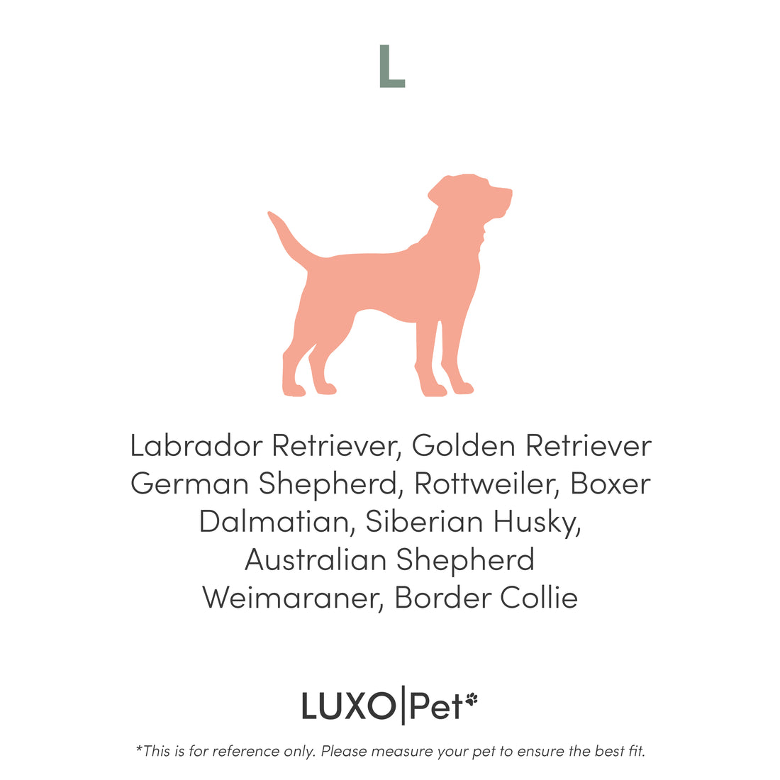 Kyra Large Boucle Pet Bed – Light Beige Plush Comfort features plush raised bolsters and soft boucle fabric, ideal for large dogs. The non-slip base ensures stability on smooth floors.