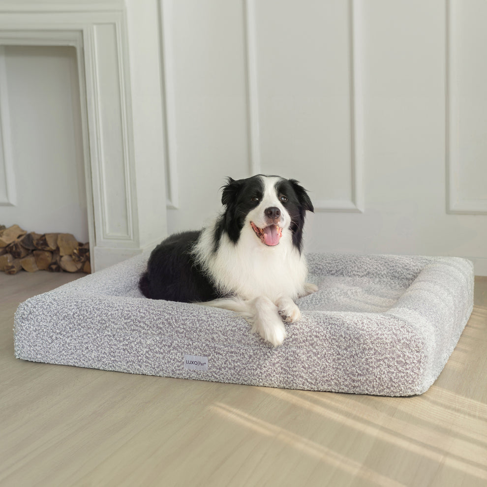 Image showcasing Tyro Large Orthopedic Memory Foam Pet Bed in Black White – Luxo Living