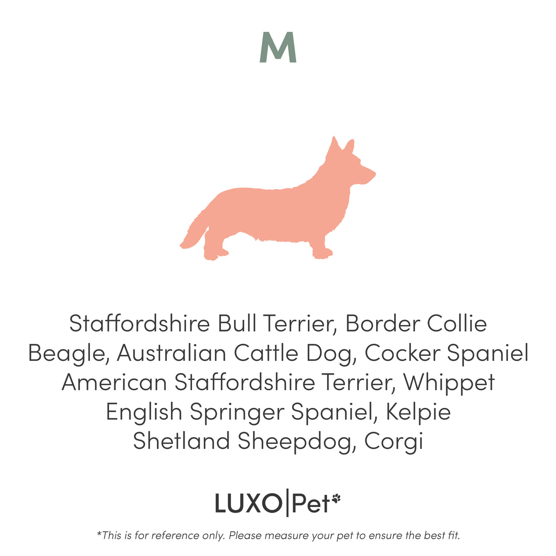 Tyro Luxe Medium Orthopedic Pet Bed – Light Beige shown with a plush, textured surface, anti-slip base, and supportive orthopedic design, ideal for pets needing joint relief and comfort.