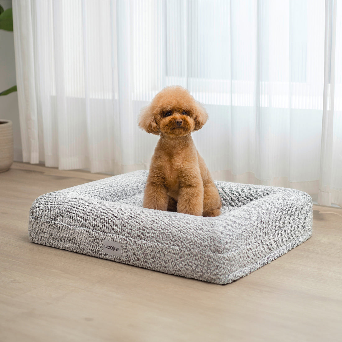 Tyro Luxe Small Orthopedic Pet Bed – Black & White: A small dog sits comfortably on this orthopedic pet bed, showcasing its soft boucle texture and supportive high-density memory foam design.