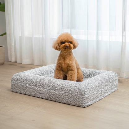 Tyro Luxe Small Orthopedic Pet Bed – Black & White: A small dog sits comfortably on this orthopedic pet bed, showcasing its soft boucle texture and supportive high-density memory foam design.
