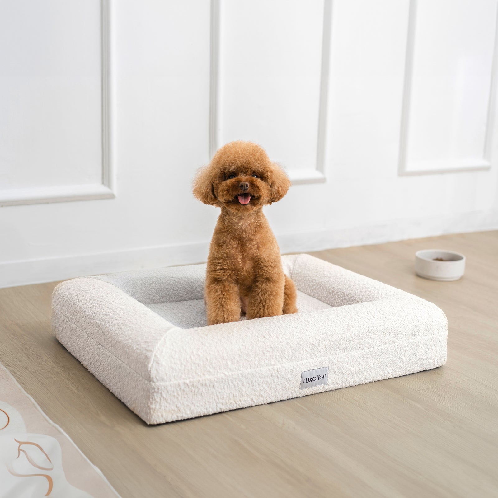 Tyro Luxe Small Orthopedic Pet Bed – Light Beige, featuring a plush dog sitting on it, showcasing its supportive dual-layer memory foam and soft boucle cover, ideal for small pets indoors.