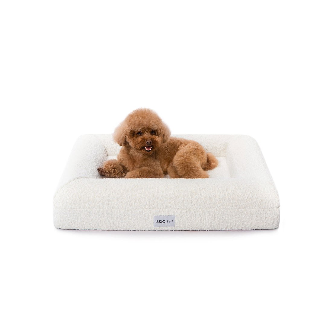 Tyro Luxe Small Orthopedic Pet Bed – Light Beige: A dog rests on a plush, supportive bed with a durable boucle cover, showcasing the memory foam core designed for joint comfort and wellness.