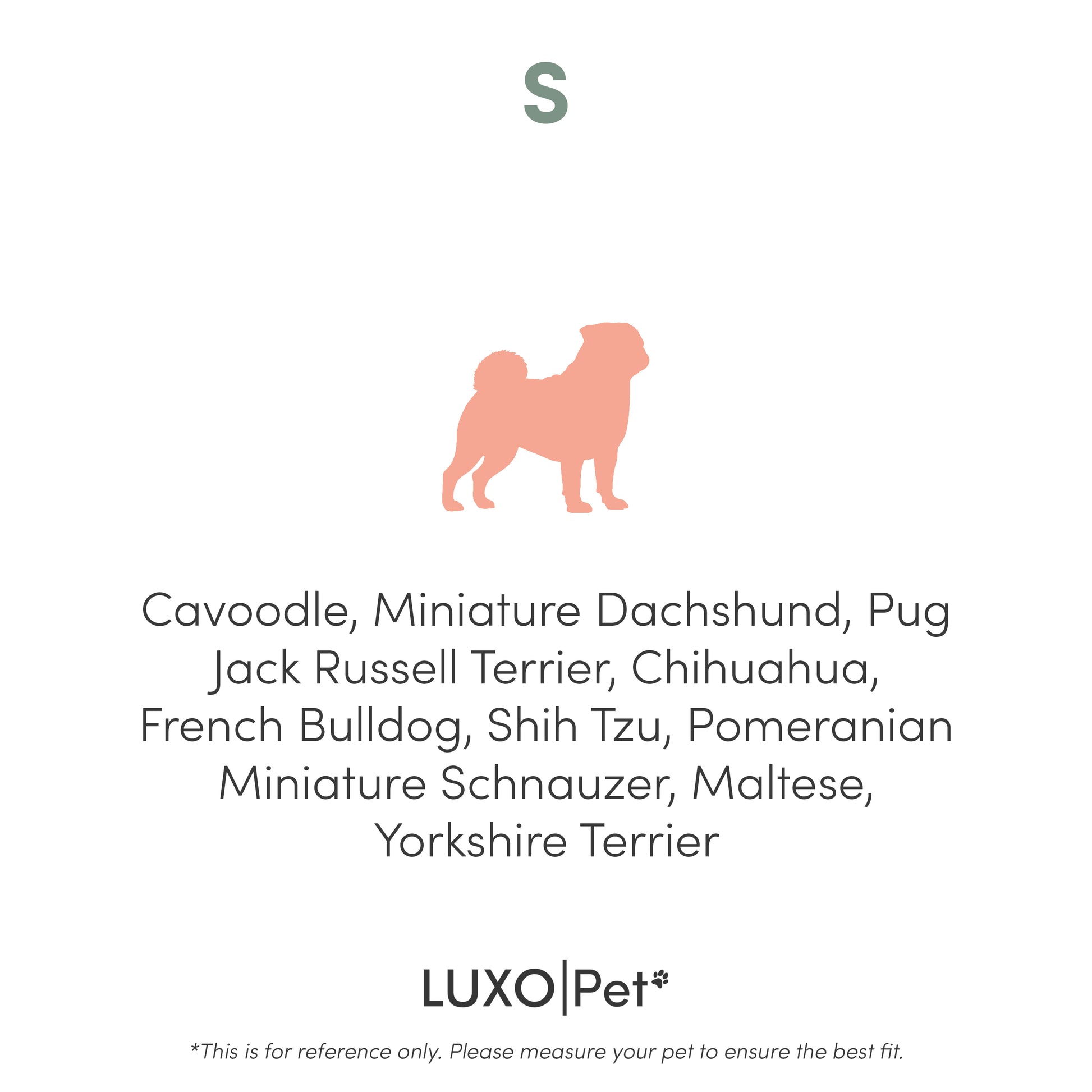 Tyro Luxe Small Orthopedic Pet Bed features a dual-layer memory foam core and boucle cover. Ideal for small pets, it has an anti-slip base, ensuring comfort and stability.