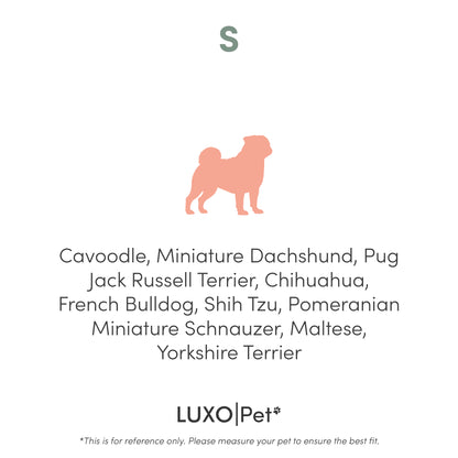 Tyro Luxe Small Orthopedic Pet Bed features a dual-layer memory foam core and boucle cover. Ideal for small pets, it has an anti-slip base, ensuring comfort and stability.