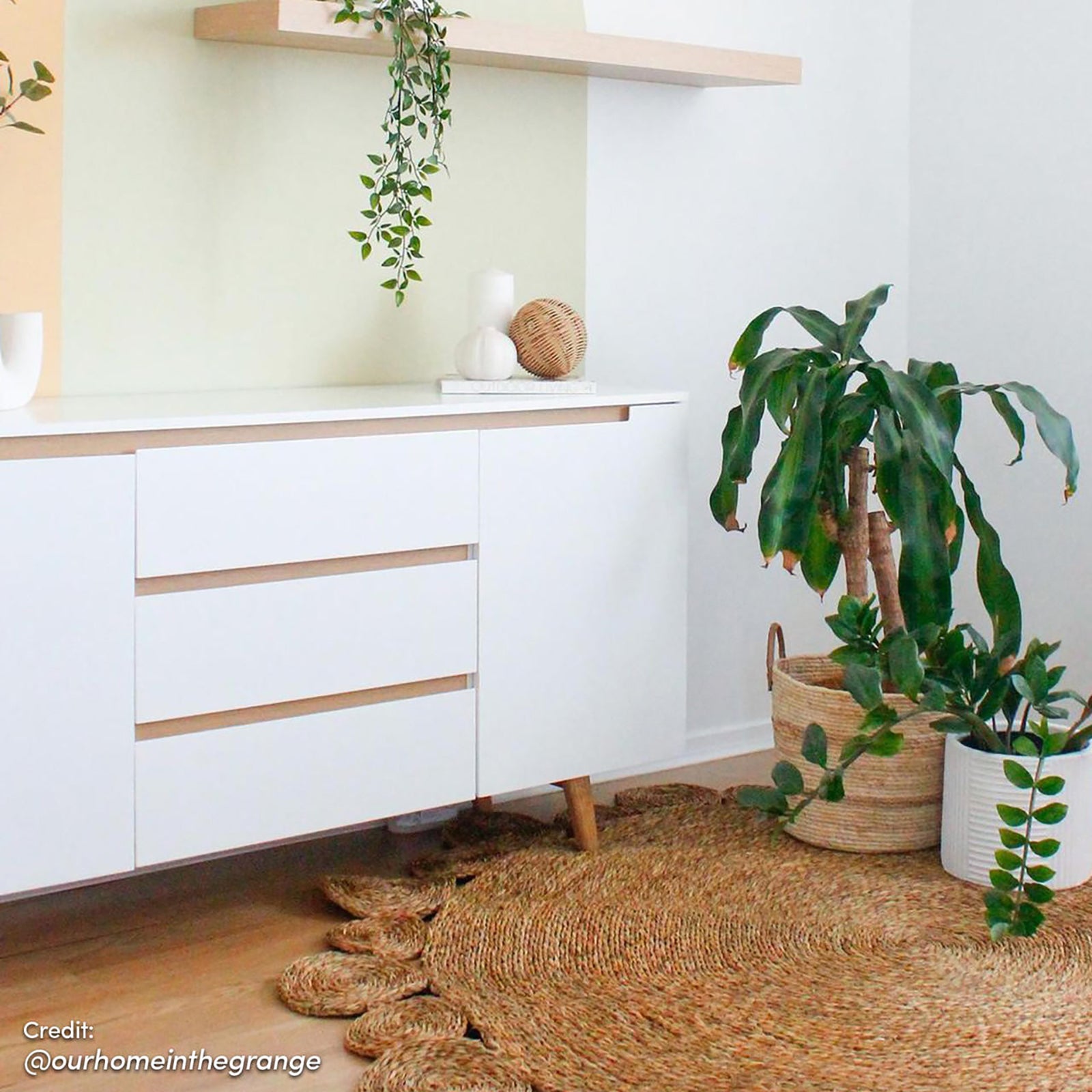 Una 180cm Seagrass Rug - Brown displayed in a minimalist living space, featuring a scalloped-edge design, harmonizing with Scandinavian decor elements like a white sideboard, plants, and natural textures.