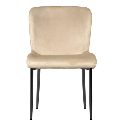 Adela Velvet Dining Chair Set of 2 in Oatmeal features a modern design with light beige velvet upholstery, padded seat and back, and black metal legs, enhancing any dining space with elegance and comfort.