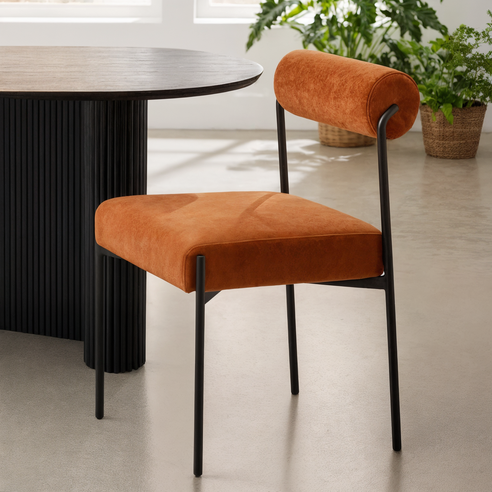Alona Modern Velvet Dining Chair Set of 2 in Terracotta features a slim black metal frame, orange-rust seat, cylindrical backrest, beside a fluted pedestal table, with plants and natural light in the background.
