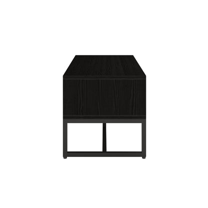 Ashley Coffee Table with Fluted Glass Door in Black, showcasing a sleek rectangular design with a black-wood finish, fluted glass door, and minimalist black metal base, enhancing modern living spaces.