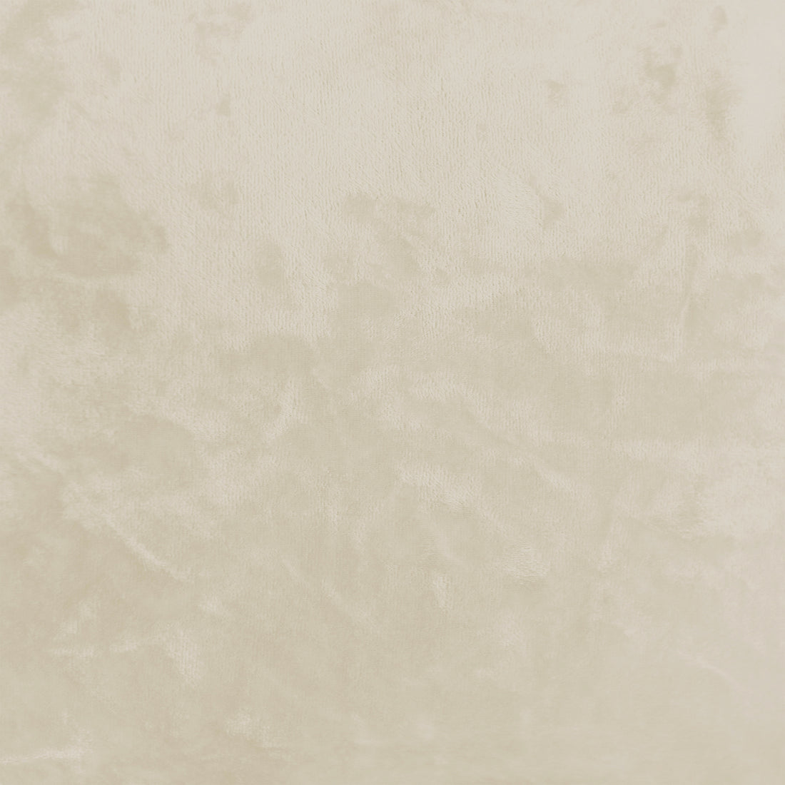 Claudine Velvet Curved Dining Chair Set of 2 in Oatmeal features plush velvet upholstery with a sculpted, supportive backrest and sleek black legs, highlighting its luxurious texture and modern design.