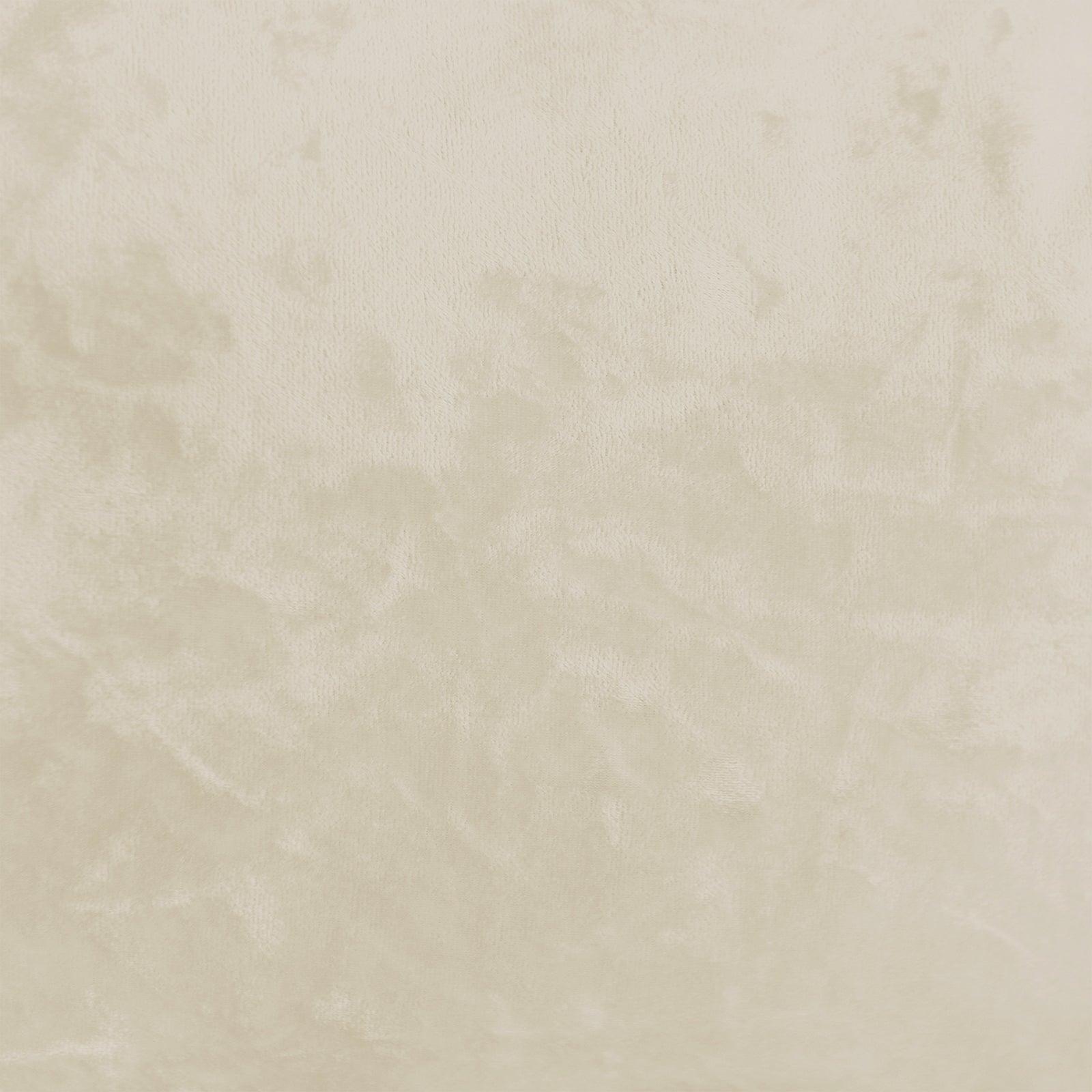 Claudine Velvet Curved Dining Chair Set of 2 in Oatmeal features plush velvet upholstery with a sculpted, supportive backrest and sleek black legs, highlighting its luxurious texture and modern design.