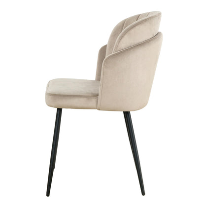 Scarlett Velvet Dining Chair Set of 2 in Warm Grey, featuring a gently curved backrest and seat cushion in plush velvet atop slim black metal legs, exuding modern elegance and dining comfort.