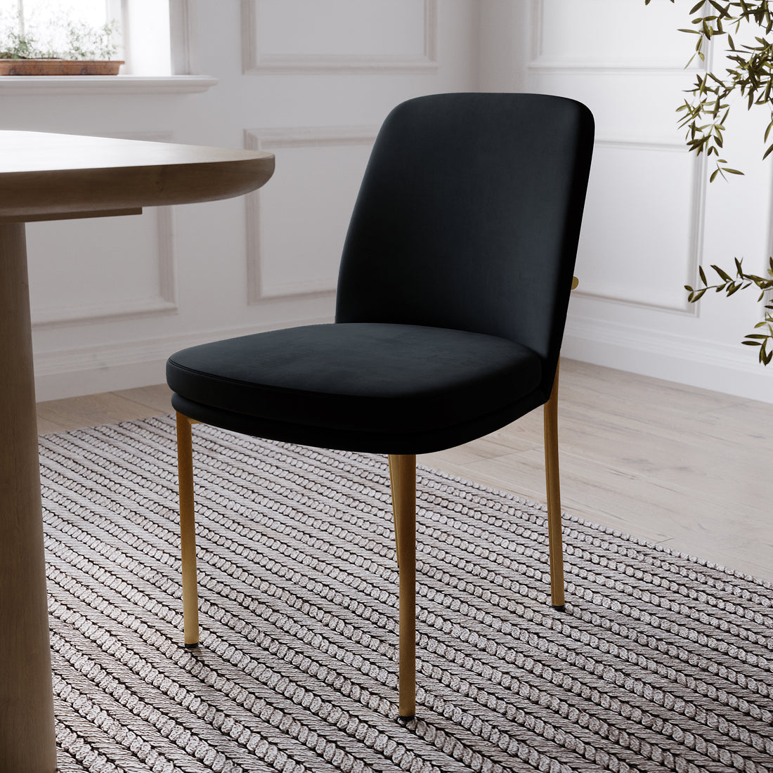 Shannon Velvet Dining Chair Set of 2 in Black features elegant black upholstery with slim gold-toned legs, showcased in a bright room with a striped rug, round table edge, and nearby plant.