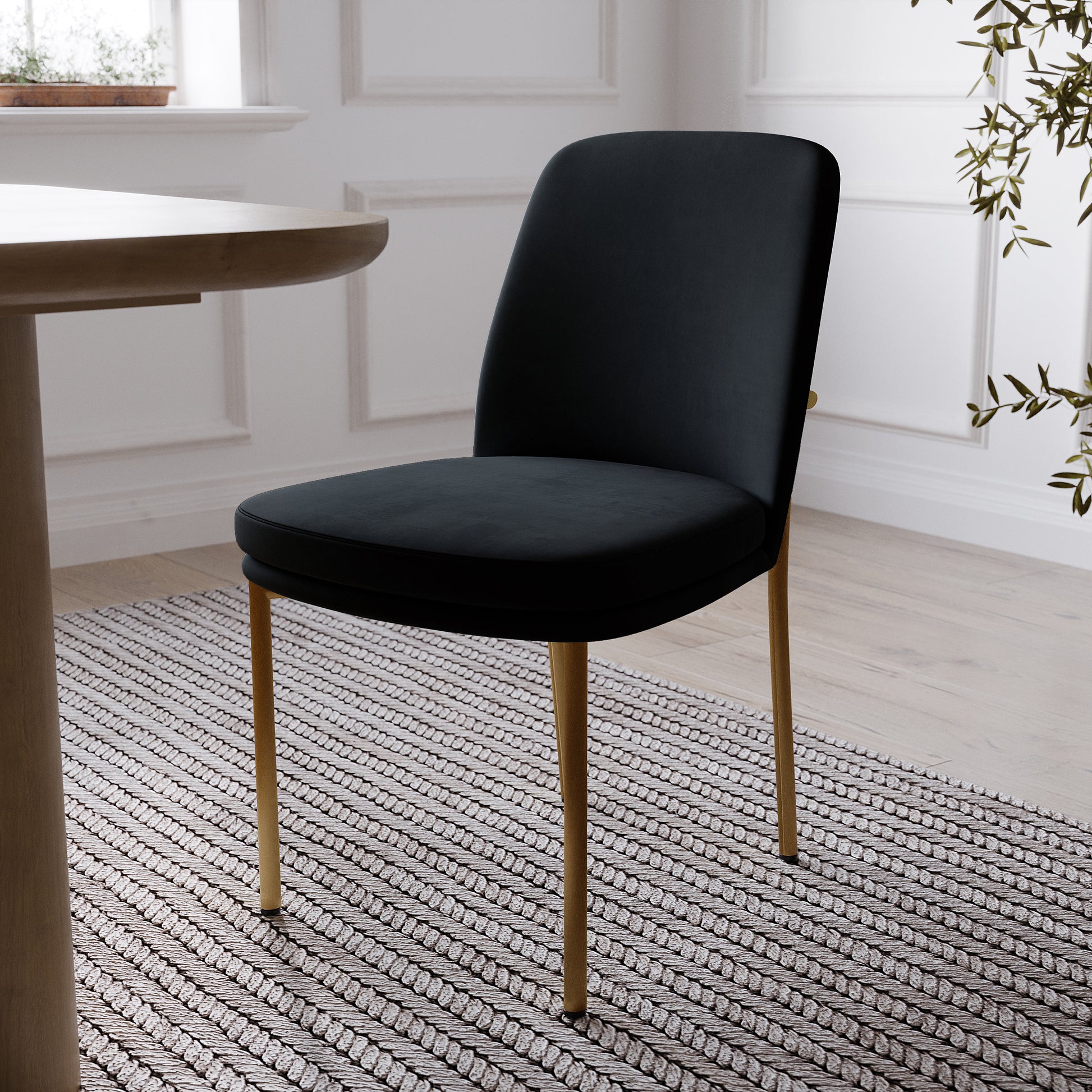 Shannon Velvet Dining Chair Set of 2 in Black features elegant black upholstery with slim gold-toned legs, showcased in a bright room with a striped rug, round table edge, and nearby plant.