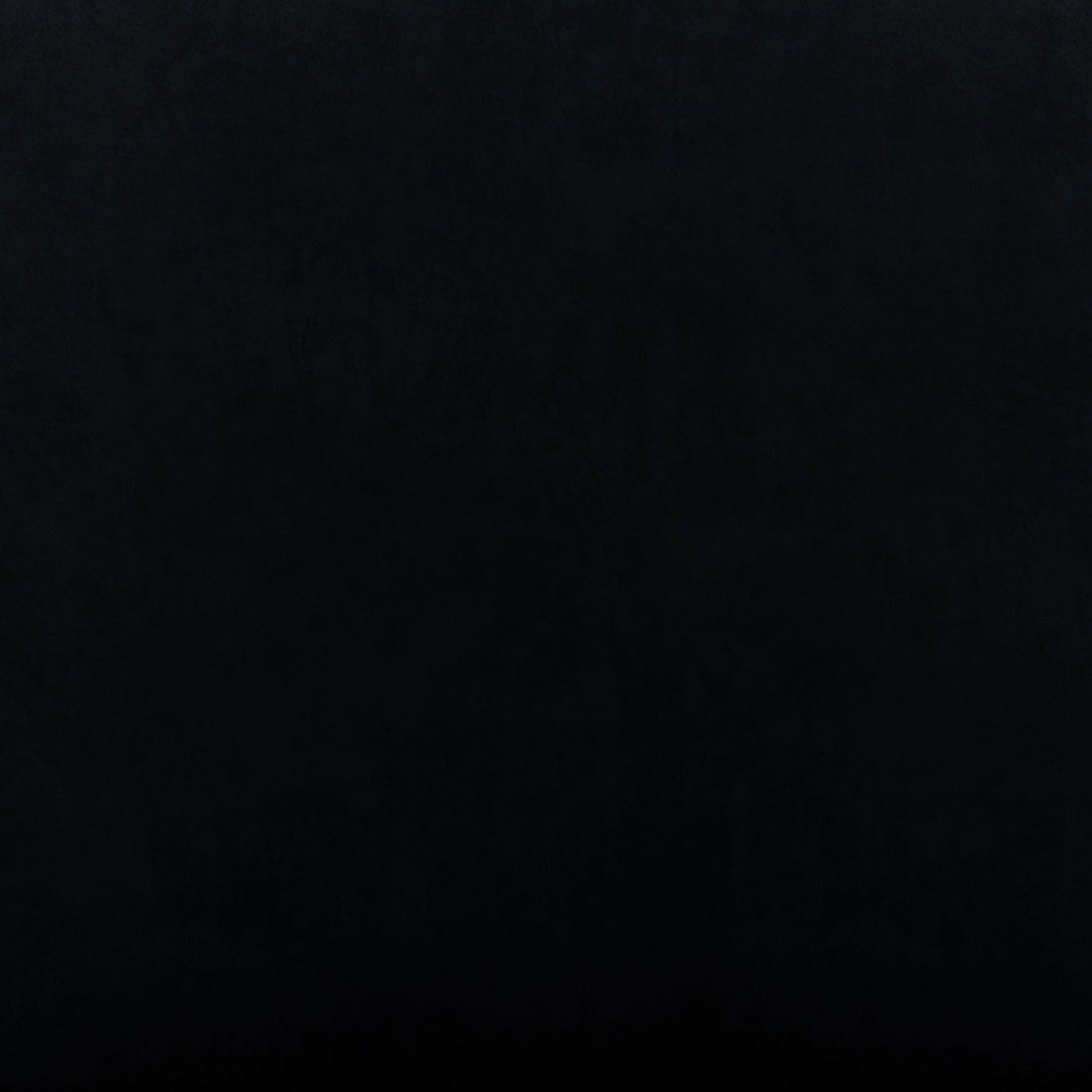 Shannon Velvet Dining Chair Set of 2 in Black, featuring a sleek design with high backs and sturdy black metal legs, offering luxurious comfort and modern elegance for any dining space.