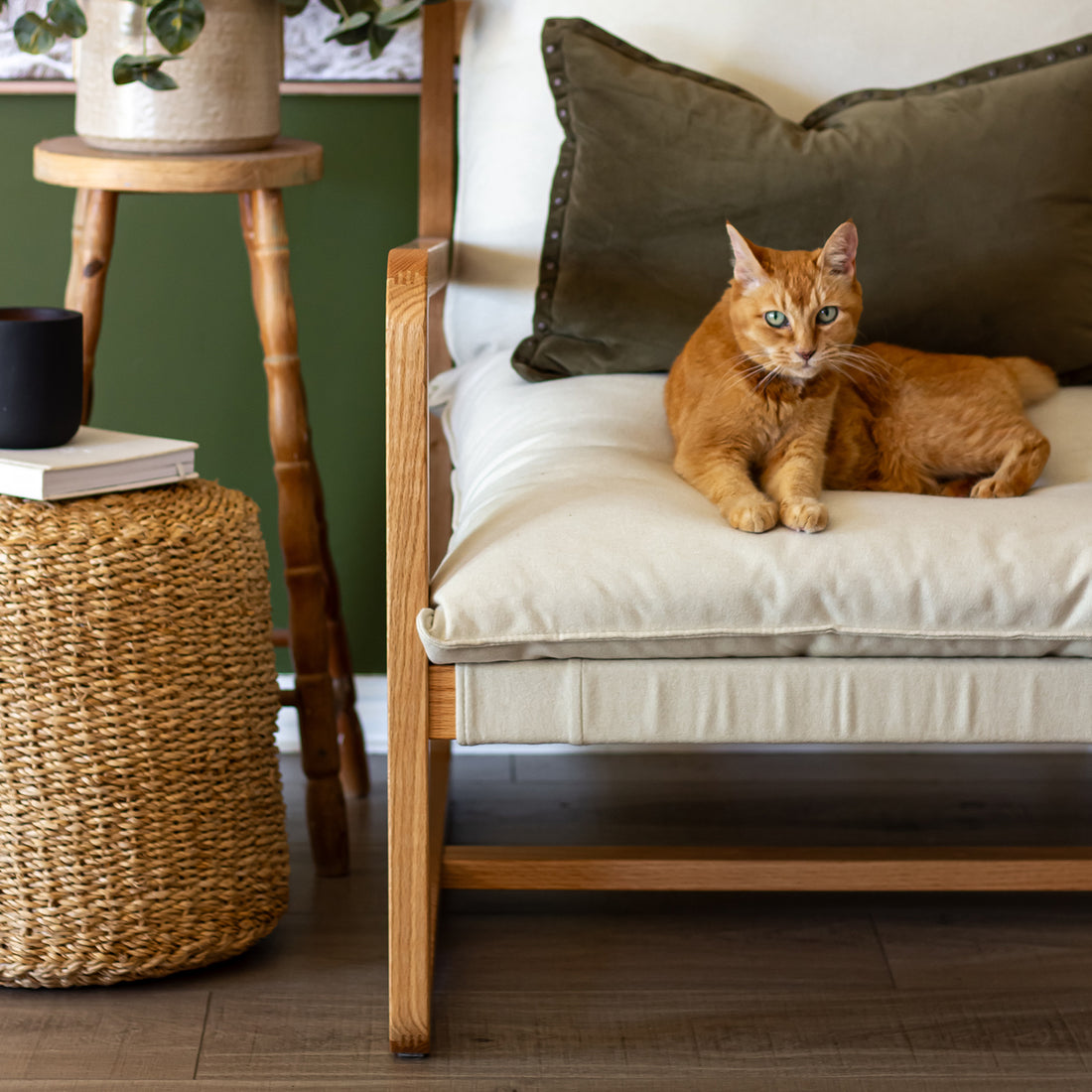 Tilly Linen Hardwood Arm Chair featuring a sleek design with high-density foam cushions and a sturdy oak frame, showcasing its modern farmhouse style as a focal point in a cozy interior setting.