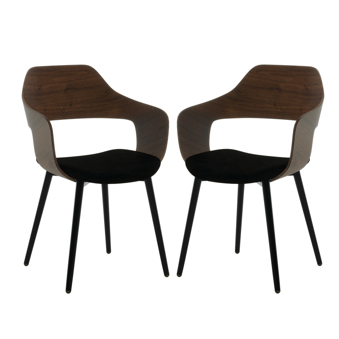 Winfield Curved Wooden Back Velvet Dining Chair Set of 2 features a sleek curved wooden back, black cushion, and elegant design, perfect for enhancing modern dining spaces with comfort and style.