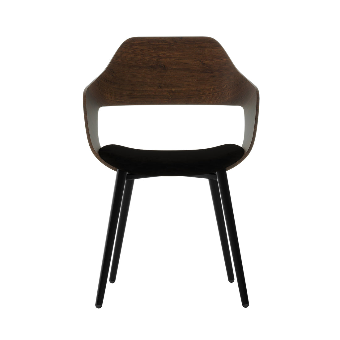 Winfield Curved Wooden Back Velvet Dining Chair Black Set of 2, featuring a sleek black design with a curved wooden back and velvet upholstery, showcased on a wooden surface.