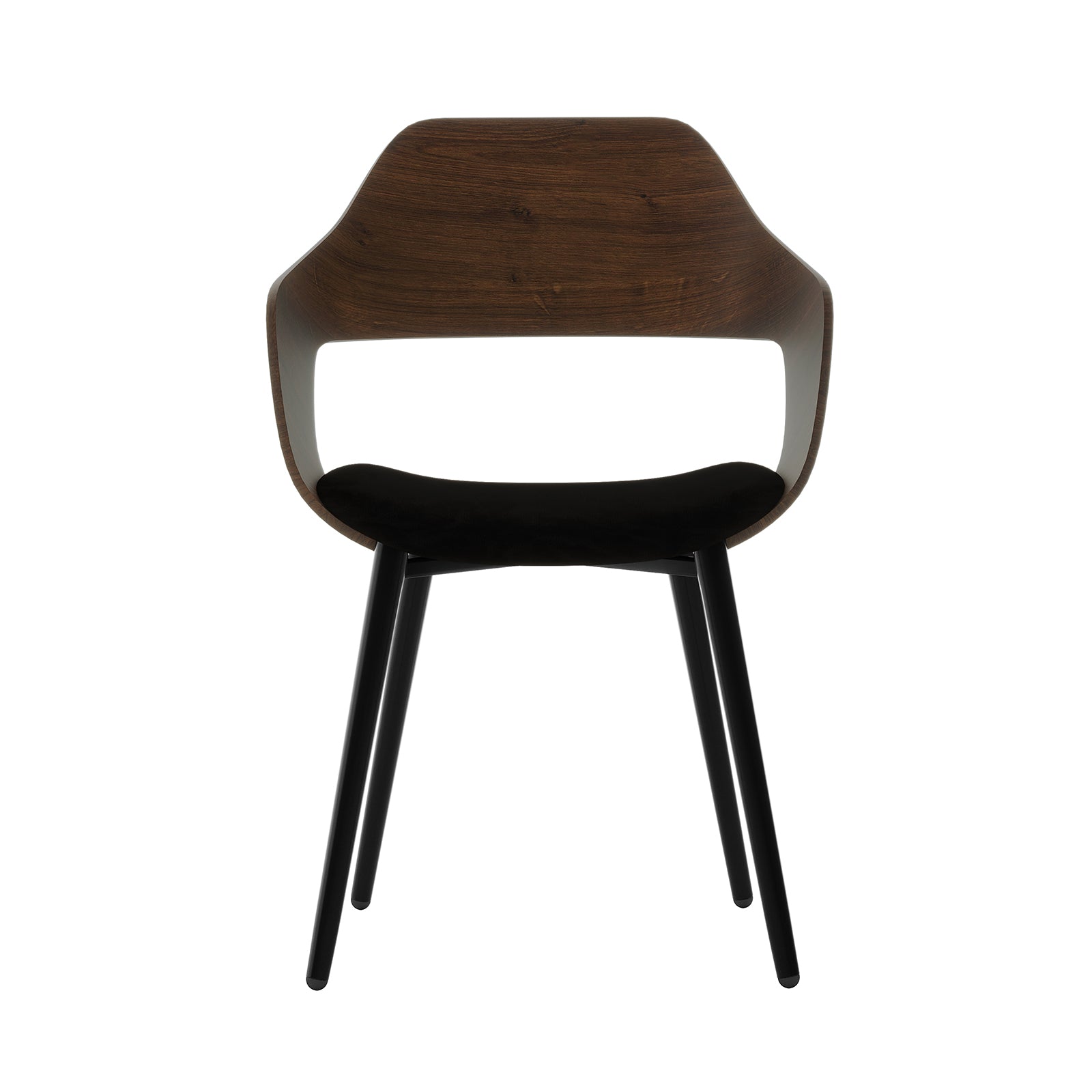 Winfield Curved Wooden Back Velvet Dining Chair Black Set of 2, featuring a sleek black design with a curved wooden back and velvet upholstery, showcased on a wooden surface.