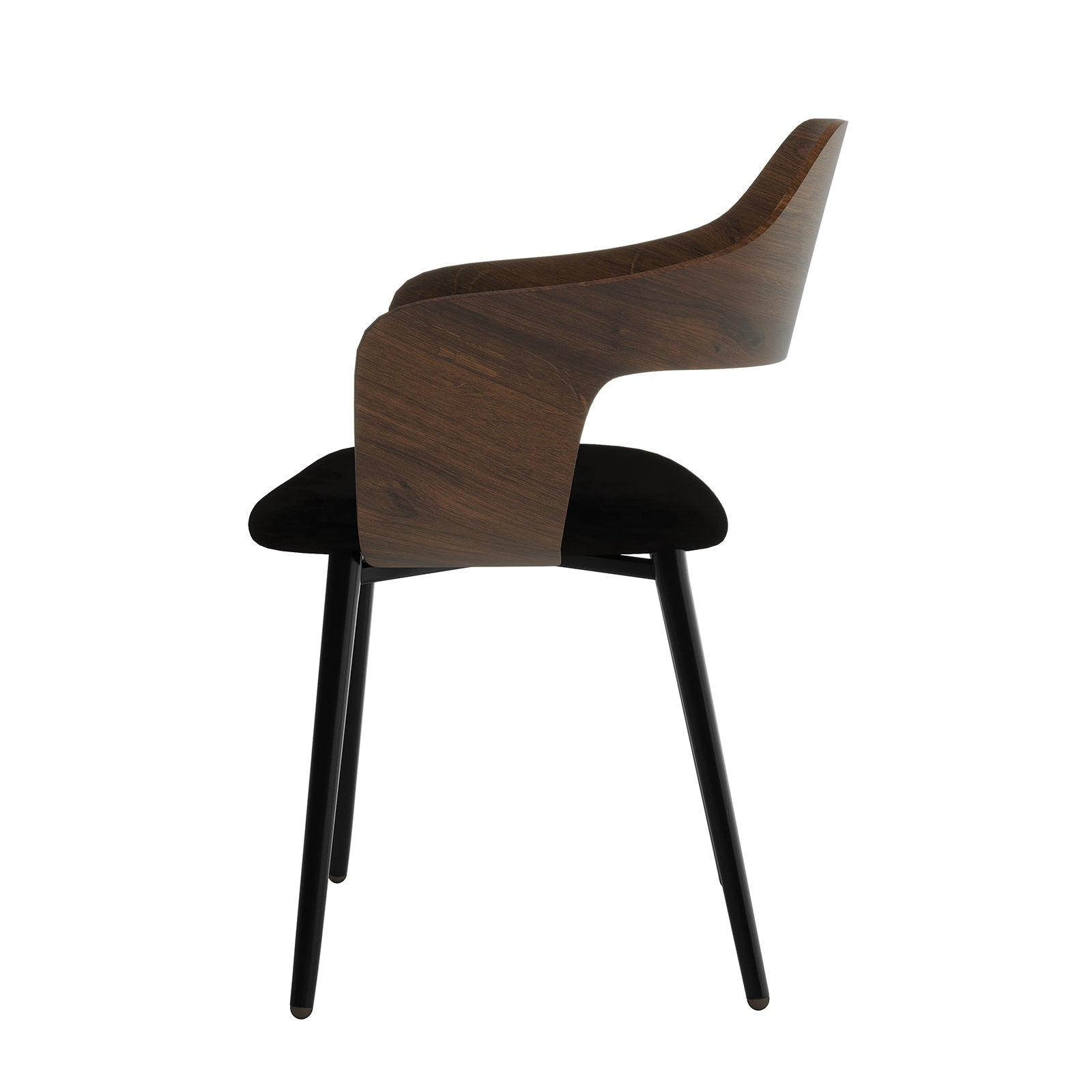 Winfield Curved Wooden Back Velvet Dining Chair Black Set of 2, featuring a close-up of the elegant wooden backrest and plush velvet upholstery, highlighting its modern design and craftsmanship.