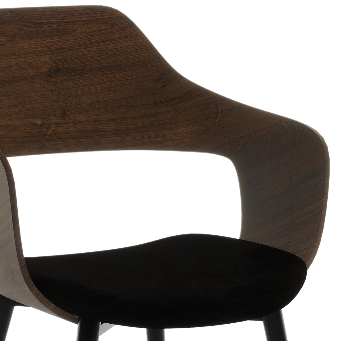 Winfield Curved Wooden Back Velvet Dining Chair Black Set of 2 features a sleek design with a smoothly curved wooden back, plush velvet upholstery, and ergonomic armrests, showcasing elegant craftsmanship.