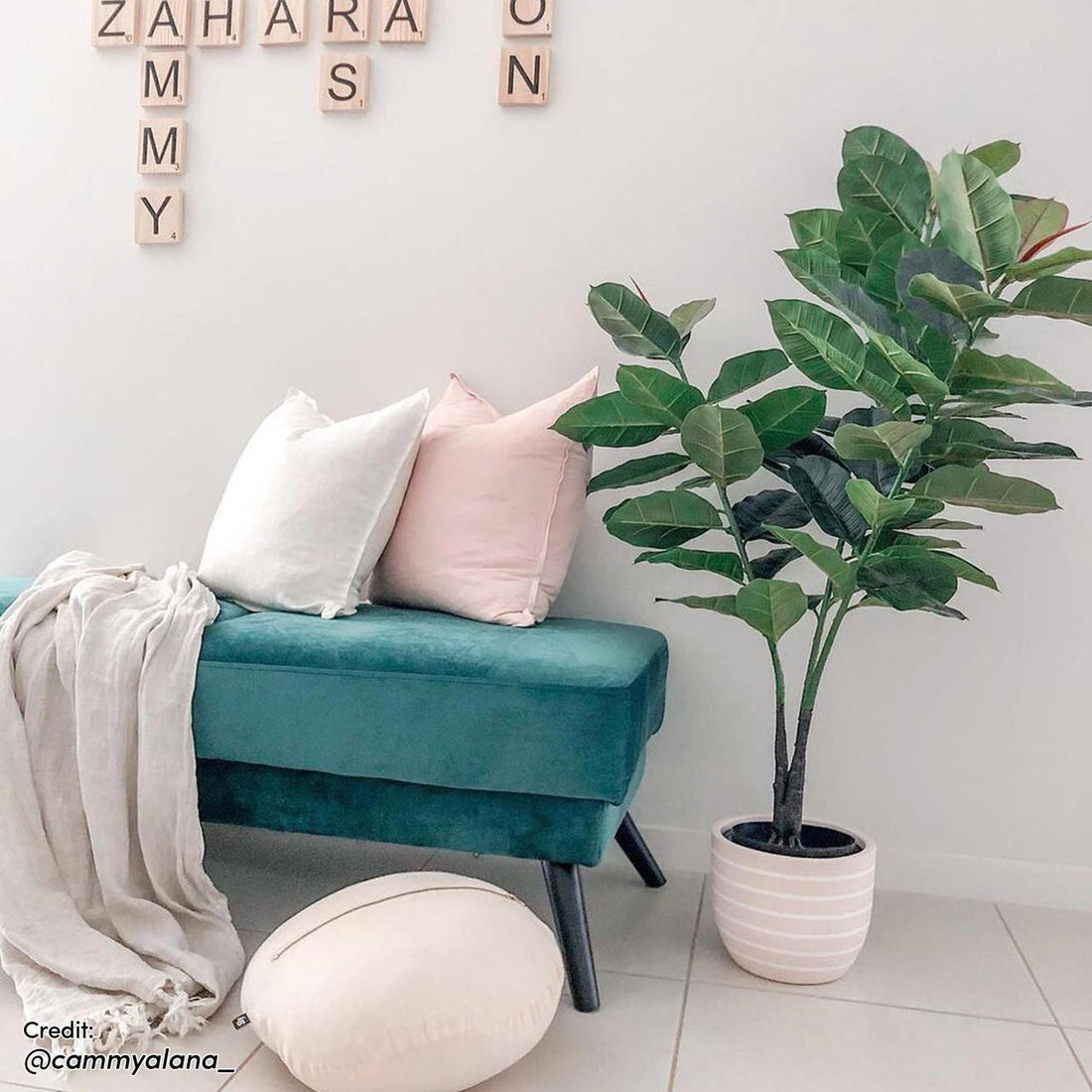 Esben Velvet Fabric Ottoman in Forest Green with slender black legs, styled with white and pink throw pillows, a gray woven throw, and accompanied by a nearby potted fiddle-leaf fig in a modern room setting.