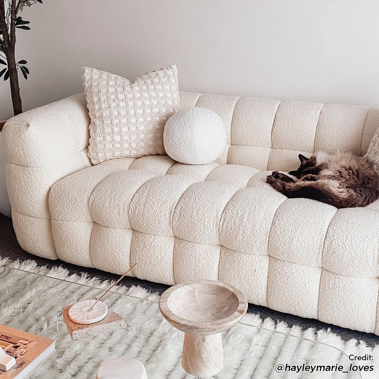 Norah 3 Seater Boucle Sofa in Cream White, adorned with textured throw pillows, a sleeping cat, and set in a cozy living room with a glass-top coffee table and minimal decor.