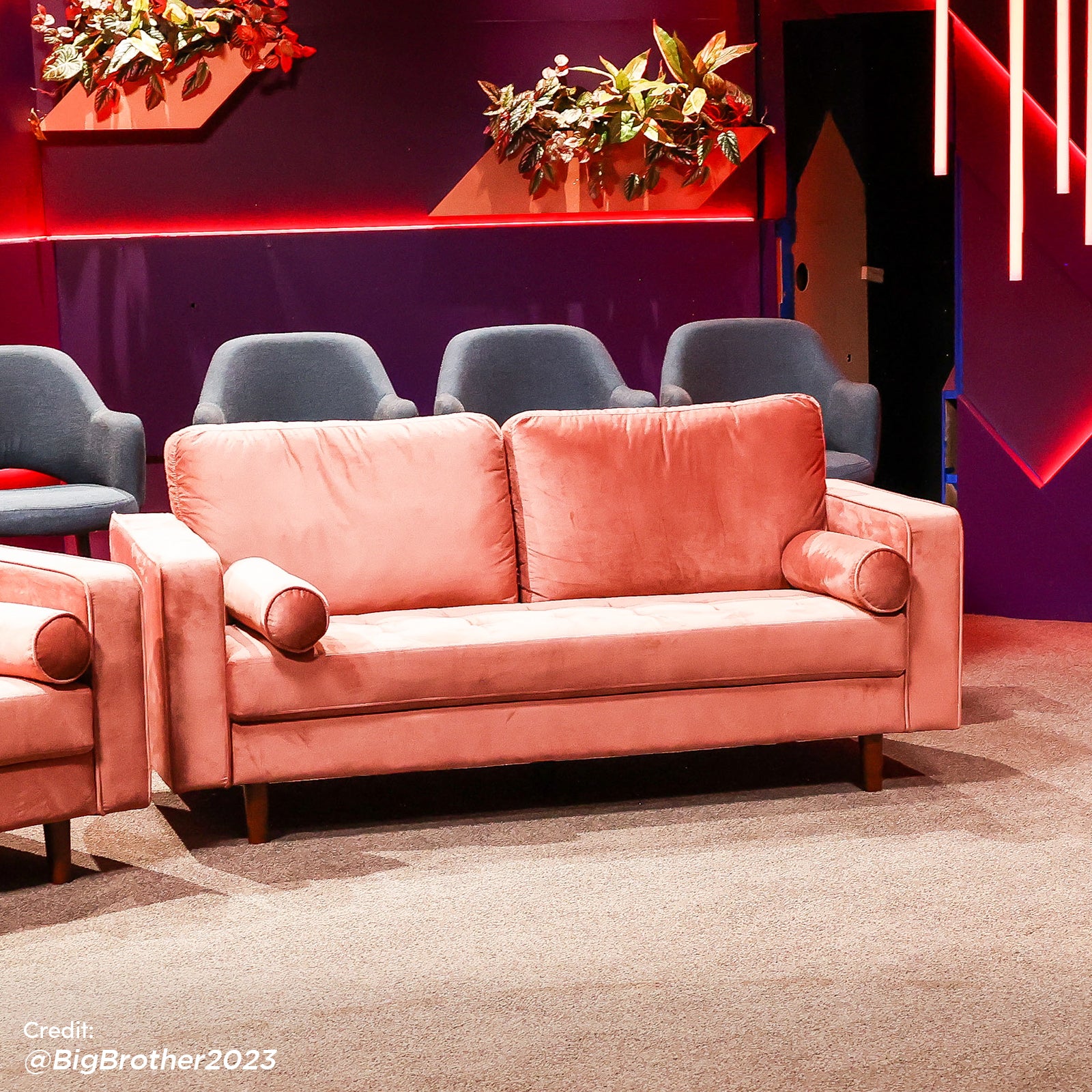 Sollia 3-Seater Velvet Sofa in Blush, showcasing plush velvet upholstery and elegant design details including matching bolster pillows and sleek wooden feet, highlighting its luxurious and modern aesthetic.