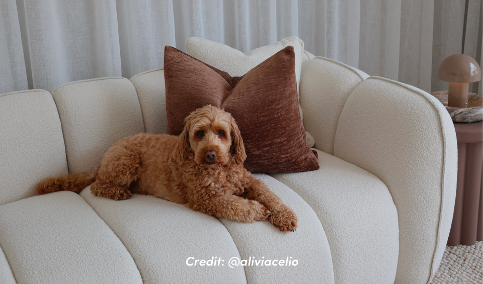 Up to $300 off Living Room Furniture
