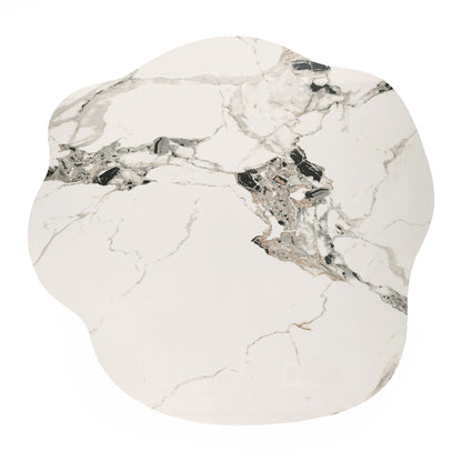 Irregularly shaped marble-pattern tabletop on a white background