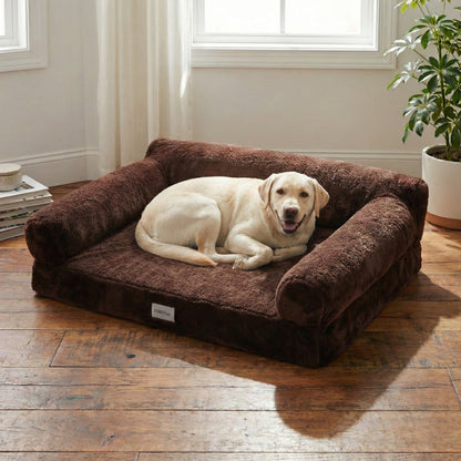 Dog lying on brown bolster dog bed in a bright living room