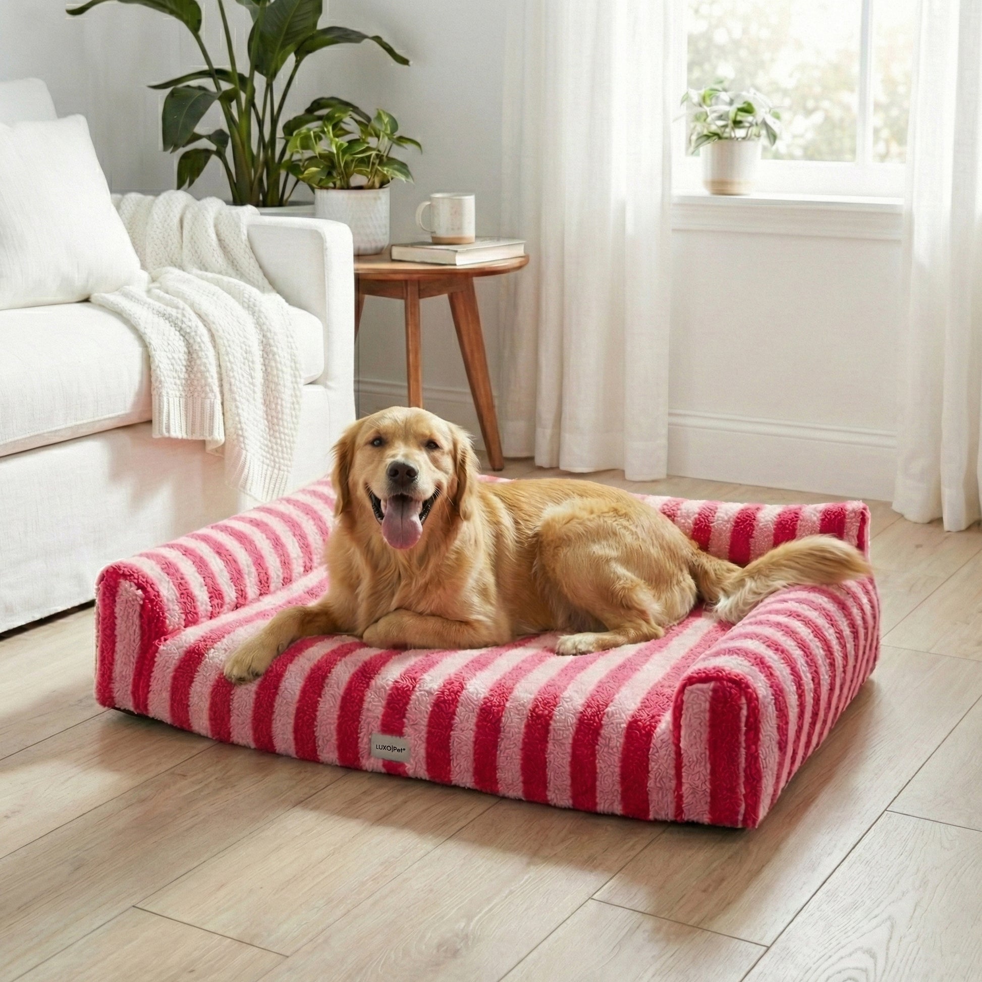 Golden retriever lying on a pink striped pet bed in a bright living room